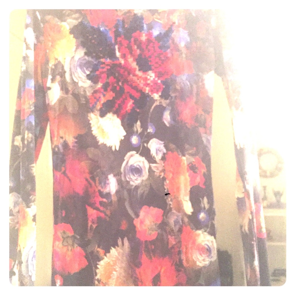 FUZZI Italy nylon dress Dutch painting flowers XL